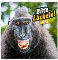 Lächeln, bitte… Wandkalender 2022 Kalender - Broschürenkalender mit DE Monatskalendarium - Fröhlicher Tierkalender Format 30 x 30 cm (30 x 60 Geöffnet)