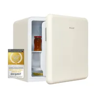 Puluomis Mini Kühlschrank 10L, 2 in 1 Warm