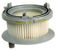 Hoover Staubsaugerfilter, Filter T80 HEPA Zentralfilter für Staubsauger Alyx - Nr. 35600415