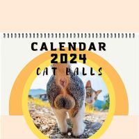 Kalendář 2024 Kočičí koule Kalendář na 12 měsíců Kočičí koule s prostorem pro poznámky pro muže, ženy, děti, dospívající, přátele