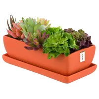 Blumentopf Keramik Orange Kaktenschale mit Untersetzer Rechteck LxBxH 15 cm x 29 cm x 9 cm Oberfläche Matt Kakten Modern Glamour