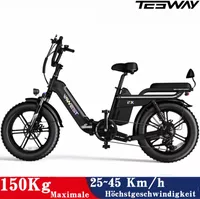 E Bike Klapprad 20 Zoll Elektrofahrrad 48V 25Ah Abnehmbarer Akku MTB E-Mountainbike