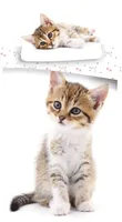 Home Chaton Bettwäsche Katze Bettbezug Baumwolle