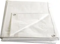 Plachta s oky 2x 3m TRANSPARENTNÍ/BÍLÁ - kašírovaná