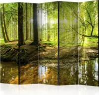 Neuheit! Dekorativer Paravent Raumteiler Trennwand Foto-Paravent Spanische Wand XXL Wald Natur 225x172 cm c-B-0183-z-c