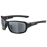 Alpina Lyron Black/Grey Gloss/Black Sportbrillen