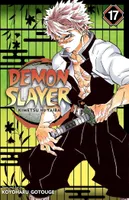 Demon Slayer: Kimetsu no Yaiba, Vol. 17
