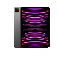 Apple 2022 11" iPad Pro (Wi-Fi + Cellular, 256 GB)  Space Grau 4. Gen. MNYE3FD/A