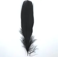 Federn Gänsefedern, ca. 15-20 cm, 10 Stück, Schwarz