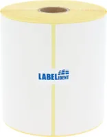 Labelident Versandetiketten DHL - 103 x 199 mm - 250 Etiketten