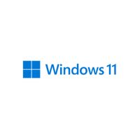 Microsoft Windows 11 Pro - 1 Lizenz(en) - 64 GB - 4,1 TB - 1000 GHz - Italienisch - DVD