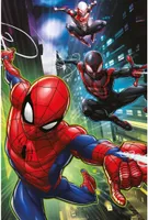 Disney Spiderman Fleecedecke, 100 x 150 cm, superweiche und bequeme Überwurfdecke für Kinder und Kleinkinder