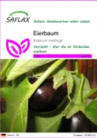 SAFLAX - vajíčkový strom - Solanum melonga - 20 Semená