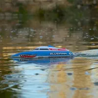 Ninco Ferngesteuertes Boot Bluefinn