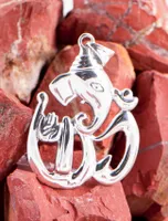 Ganesha, Anhänger