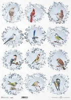 ITD Reispapier Decoupage Bastelpapier Serviettentechnik - A3 ITD-808L Vogelkränze