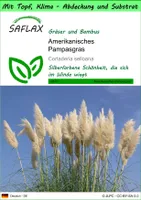 SAFLAX Garden to go - Amerikanisches Pampasgras - Cortaderia selloana - 200 Samen - Mit Topf, Klima - Deckel und Anzuchtsubstrat