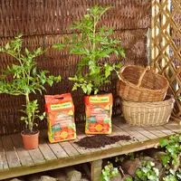 Floragard Aktiv Tomaten- und Gemüseerde