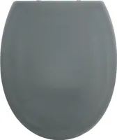 Spirella WC Sitz Toilettendeckel Harry mit Absenkautomatik und auf Knopfdruck abnehmbar zur Reinigung in Anthrazit – Easy Fix Clip System