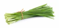 Allium schoenoprasum Schnittlauch Graslauch Binsenlauch Brislauch Grusenich Jakobszwiebel Schnittling 1g  mehrjährig Gemüsesamen Gemüsesaat Samen
