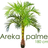 künstliche Pflanze, als Deko Wohnzimmer, Kunstpflanzen groß, Plastik wie echt, Decovego, Auswahl Palme Pflanze:Palme Modell 3 (Arekapalme 180 cm)