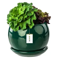 Blumentopf Blumenübertopf Flaschengrün Kugel Blumenschale mit Untersetzer Rund BxH 140 mm x 130 mm Oberfläche Glanz Keramik Modern Glamour