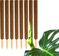 8x Kokos Pflanzstab 60 cm Rankstab Rankhilfe