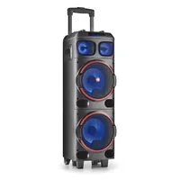 NGS Spekear Trolley WildDub1 DJ Party BT RGB TWS 300W Black  NGS