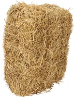 Dehner Strohballen, zur Fütterung oder als Einstreu, staubarm/geruchsbindend, 7 kg