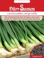 Dürr-Samen - Lauchzwiebeln Lange Weiße Kaigaroo - Saatgut - 0563