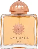 Amouage Dia Eau de Parfum für Damen 100 ml