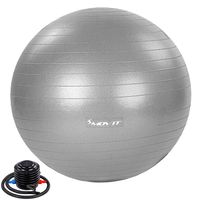 MOVIT Gymnastikball 55 cm Fitnessball Sitzball mit Pumpe silber