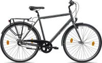 Chrisson City One Urban Bike 28 Zoll Herren Fahrrad Damen 160 - 180 cm Trekking 3 Gänge anthrazit 53 cm