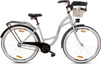 Goetze Style 28 Zoll Damen Citybike, 1-Gang Rücktrittbremse, Tiefeinstieg, Komfortfahrrad mit Korb