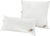 OBB 120 Jahre OBB 3-Kammer Kopfkissen 80x80