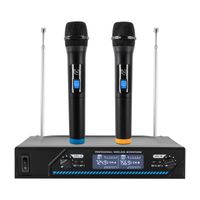 Drahtloses Mikrofon Set  für Party Metall Mikrofonsystem+Controller 2-Kanal Karaoke Mikrofon