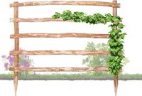 Natürliche Rankhilfe aus Holz Höhe 180 x Breite 200 cm in 33 verschiedenen Größen für Ihre Kletterpflanzen