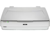 Epson Expression 13000XL Flachbett-Scanner 2400 x 4800 DPI A3 Weiß