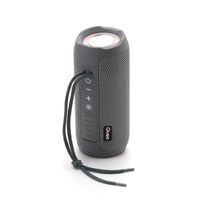 Lautsprecher Bluetooth Musikbox Tragbarer Radio Subwoofer Soundbox Soundstation, Farbe:Grau
