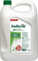 Ludwik, Płyn do mycia naczyń Mięta, 5 l