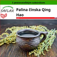 SAFLAX - Palina čínska Qing Hao - Artemisia annua - 250 Semená - S pestovateľským substrátom bez klíčkov