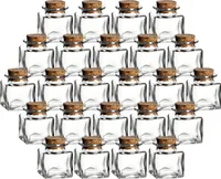 gouveo 24er Set Gewürzgläser 50 ml eckig mit Korken - Mini Korkengläser mit Korkverschluss - Kleine Vorratsgläser für Kräuter, Gewürze - Kleine Glasdose