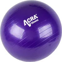 ACRA Míč gymnastický 650 mm fialový