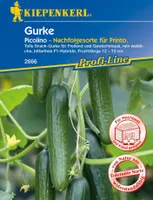 Kiepenkerl Schlangengurke Midios Cucumis sativus, Inhalt: 5 Korn