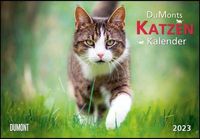 DuMonts Katzen-Kalender 2023
