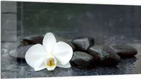 DEQORI Küchenrückwand Glas 100x50 cm 'Kontrastreiches Zen-Motiv' Spritzschutz Bad Rückwand