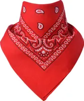 Bandana Paisley Rot