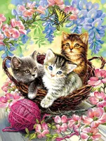 DIY 5D-Diamant-Malerei-Zubehör, Katze, Diamant-Malerei, Bild, Mal-Set, Tierfiguren, Wand, Kreuzstich, Malerei, Diamant-Dekoration, 30 x 40 cm