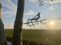 Metallvögel Gartendeko - Die Taube - Dekorative Vögel