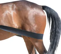 Equest Körper Bandage, schwarz - Trainingshilfsmittel für Pferde, M